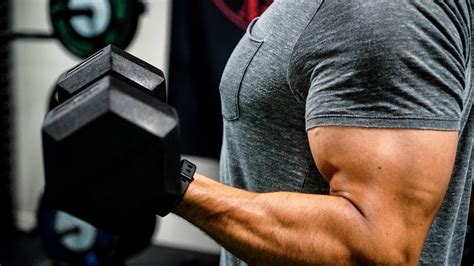 How Often Should I Workout My Biceps Workoutwalls