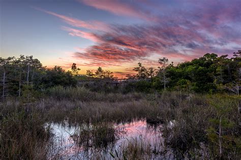 Top Activities In Everglades National Park