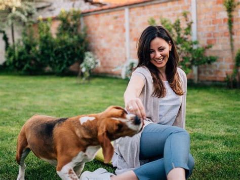Weitere ideen zu hundetricks, tricks für hunde, hund beschäftigen. Schäm dich, Küsschen & mehr - 7 süße Hundetricks für ...