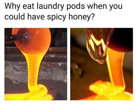 The Best Honey Memes Memedroid