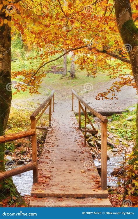 Autumn Landscape Wooden Bridge In The Autumn Park Stock Image Image