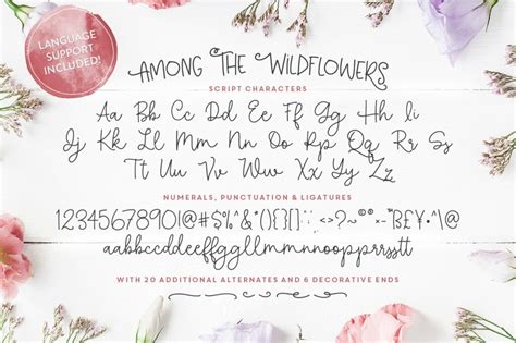 Among The Wildflowers Font Duo Masterbundles