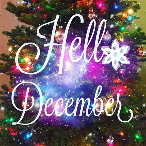 Hello December Hello December Christmas Time Neon Signs