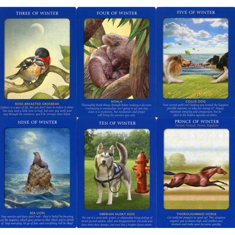 Read 2 reviews from the world's largest community for readers. Animal Tarot Cards - LT Tarot