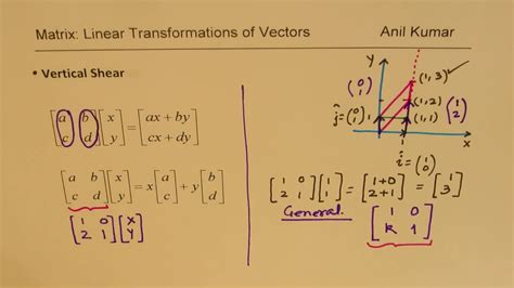 Linear Transformations Vertical And Horizontal Shear With Matrices