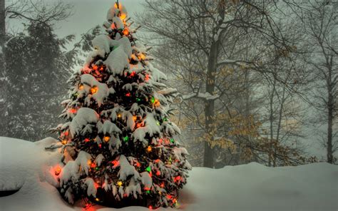 Christmas Tree Shining In The Snowy Forest Wallpaper Holiday