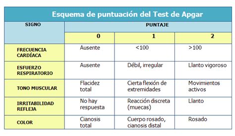 ¿quÉ Es El Apgar Grupo Coras