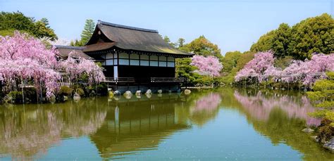 Heian Shrine Kyotos Best Weeping Cherry Blossom Spot Japan Web Magazine