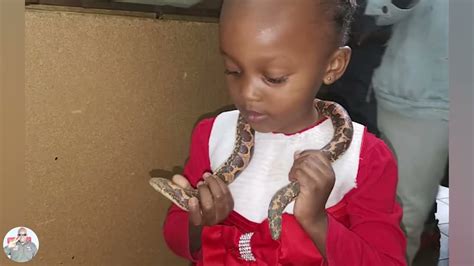 A Tour Of The Nairobi Snake Park 2023 Whats Inside Nairobi Snake