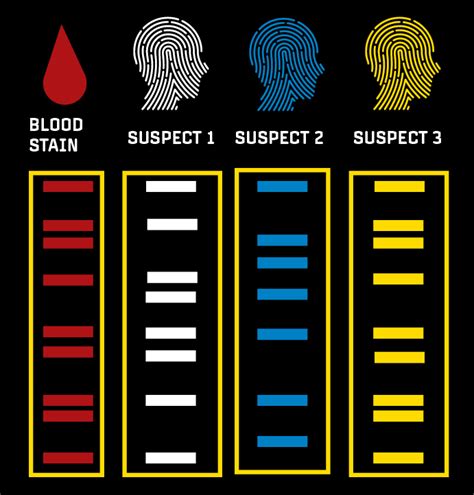 Dna Fingerprinting In Forensic Science