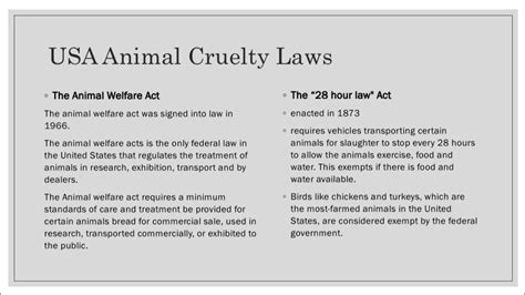 Animal Cruelty Laws In America Vs Other Countries Youtube