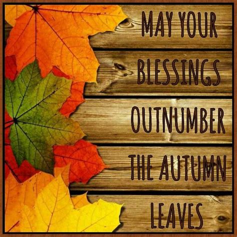 May Your Blessings Outnumber The Autumn Leaves Autumn Leaves