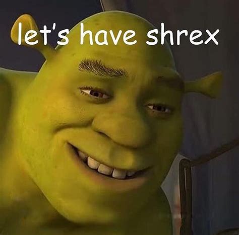 Shrek Meme By Keeks03 Redbubble