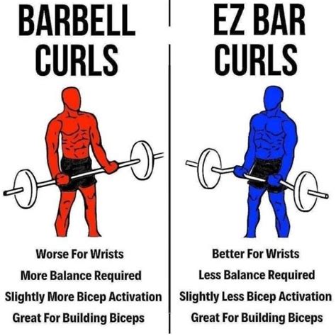 Barbell Curls Vs Ez Bar Curles Bar Workout Bodybuilding Workouts Routines Workout Program Gym