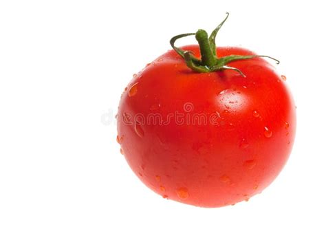 Rotten Tomato 2 Stock Image Image Of Rotten Fruits Perish 1541695