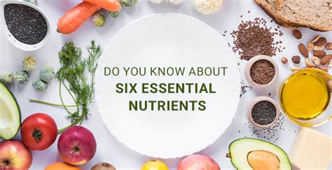 Do You Know About Six Essential Nutrients And Their Functions Mrmed