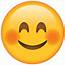 Download Smiling Face Emoji With Blushed Cheeks  Island