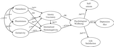 Structural Model Depicting The Relationship Of Sexual Orientation Download Scientific Diagram