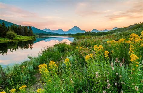 Wildflowers At The Lake Hills Meadow Beautiful Grass Spring