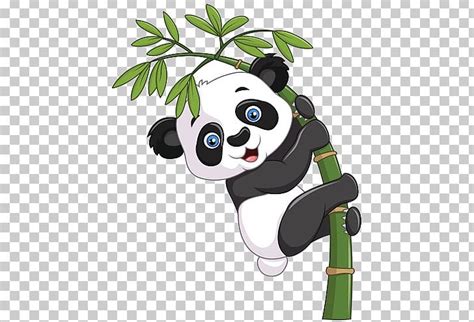 Giant Panda Graphics Bamboo Illustration Png Clipart Bamboo Bear