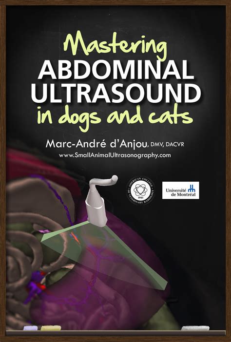 Learn More Small Animal Ultrasonography