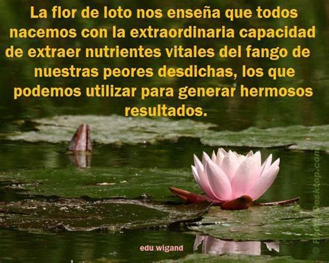 daily inspiration namaste reiki yoga messages words psp lotus flower chakras