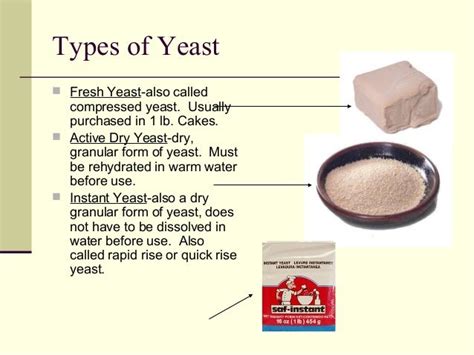 Yeast Breads Ppt