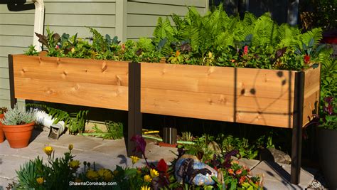 How To Plant An Elevated Garden Bed Shawna Coronado