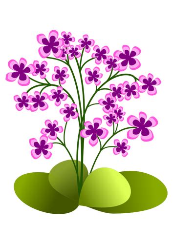Terkeren 14 Gambar Bunga Kecil Kecil Gambar Bunga Indah