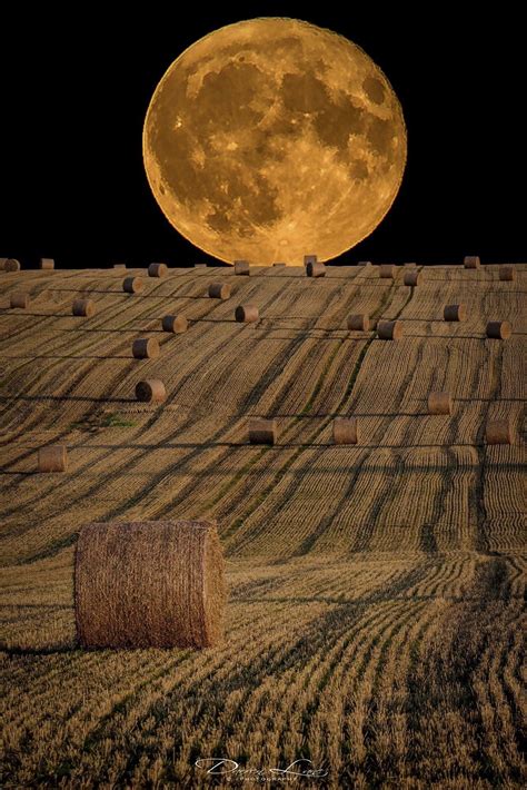 Beautiful Harvest Moon Harvest Moon Moon Pictures Beautiful Moon