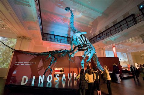 Dinosaurs Australian Museum Sydney — Freeman Ryan Design