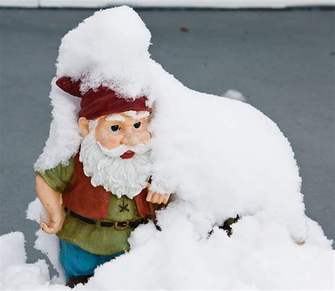 Snow Covered Gnome Greg Booher Flickr