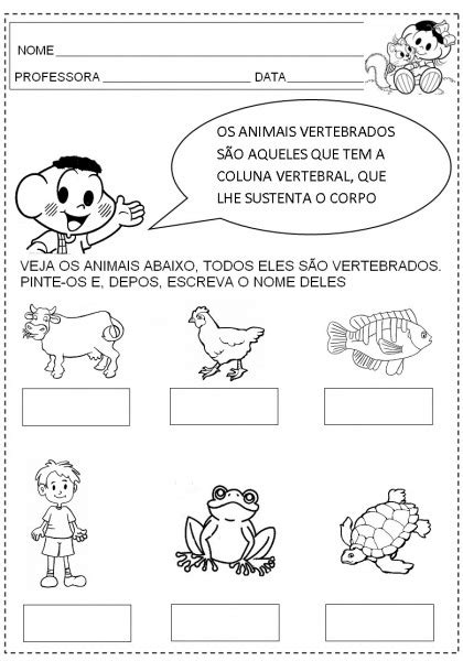 fotos de animais invertebrados para imprimir coloring city