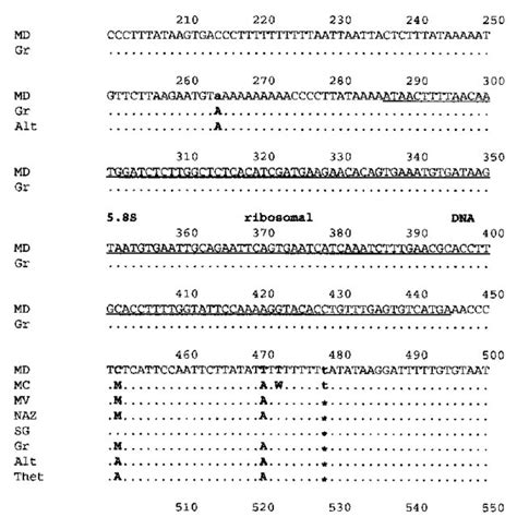 nucleotide sequence of the intergenic transcribed spacers its1 and download scientific diagram
