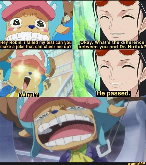 One Piece Funniest Chopper Memes