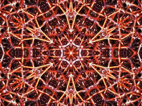 Mandala Fireworks Digital Art By Errol Dsouza Fine Art America