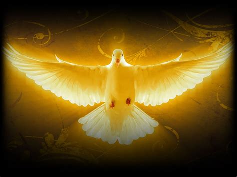 12 February 2017 The Holy Spirit Empowers Us To Prosper Pastor