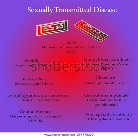 Sexually Transmitted Diseases Word Detail Bacteria Stock Vector Royalty Free 293676227