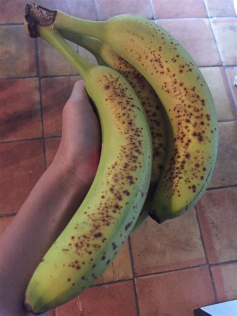 These Bananas Are Both Overripe And Underripe Rmildlyinfuriating