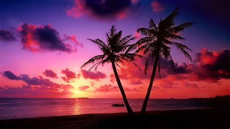 Beach Paradise Sunset Wallpaper