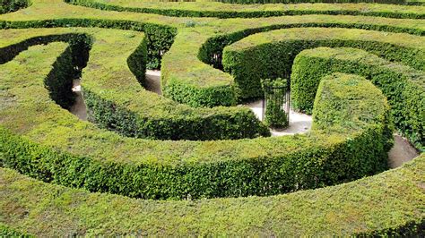 You may want to consider this career if you have. How to design a garden maze | Home | The Sunday Times