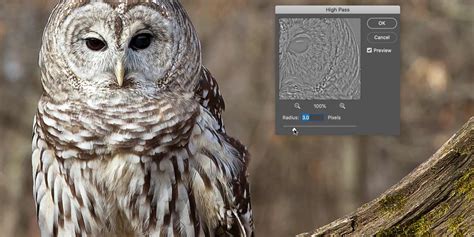 Sharpen Images In Photoshop With The High Pass Filter