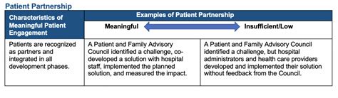 The National Health Council Rubric To Capture The Patient Voice A