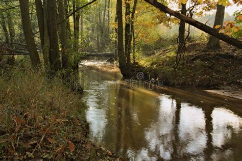 River Autumn Stock Photo Image Of Growing Watercourse 79887170