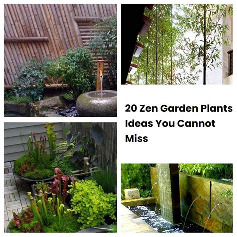 20 Zen Garden Plants Ideas You Cannot Miss Sharonsable