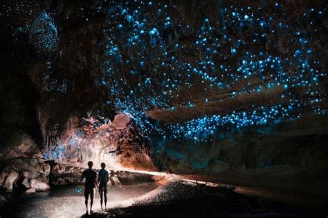 Glowworm Caves New Zealand In 2021 Glow Worm Cave Waitomo Caves Trip