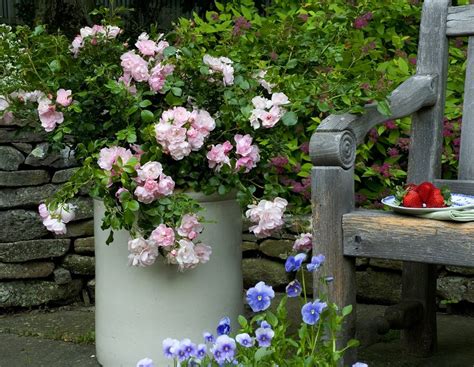 We offer a wide variety of products from water. Creating an Easy-Care Cottage Garden - Anthony Tesselaar ...