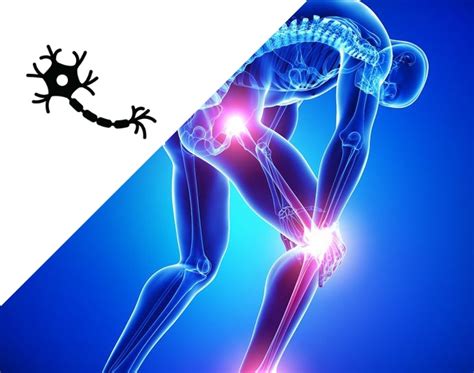 Nerve and damaged myelin sheath. Recovery from Guillain Barre Syndrome | Orlando Neuro Therapy