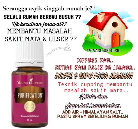 Samples available in 1ml and 2ml sizes for more information on wholesale. YLEO Membantu Dalam Kehidupan Seharian Dan Kegunaan Seisi ...