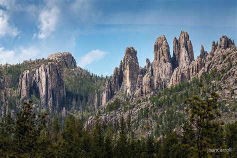 Along Needles Highway Custer State Park South Dakota Usa By